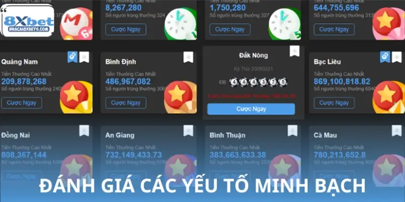 Đánh giá mức độ minh bạch qua trải nghiệm thực tế